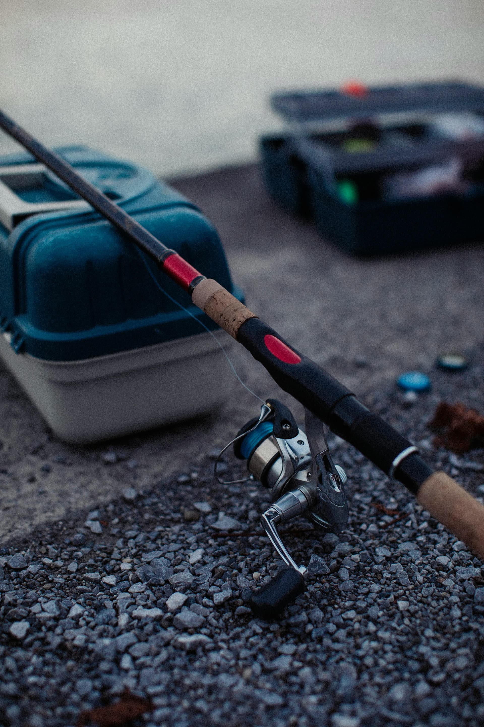 Best Spinning Reel Under $100: What's Actually Worth Buying