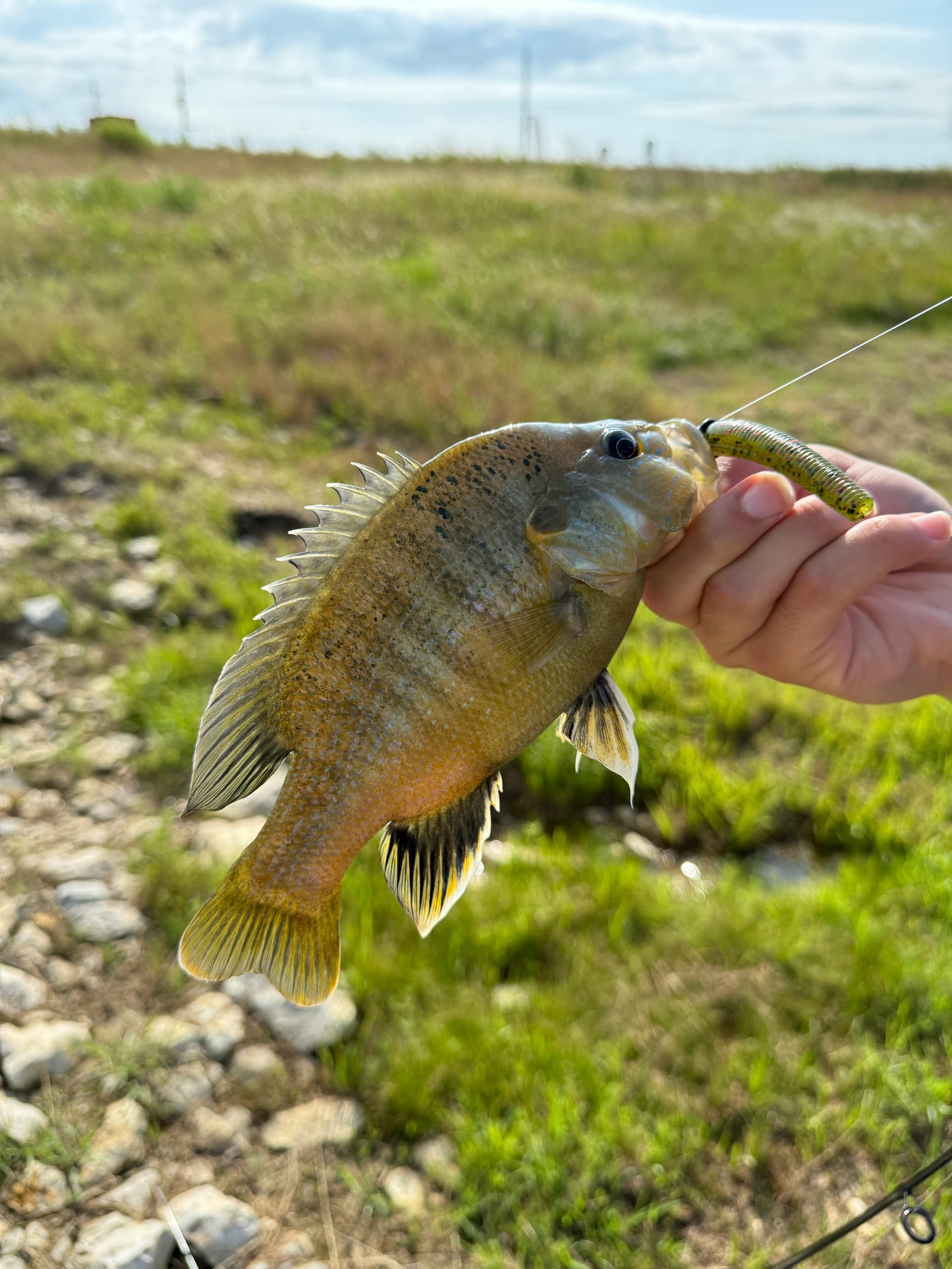 Crappie Fishing Tips: How to Find and Catch Them All Year